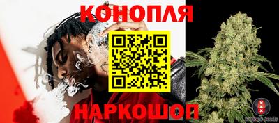 Альфа ПВП Малоярославец