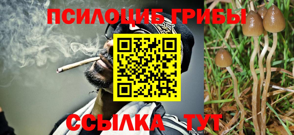 Галлюциногенные грибы Magic Shrooms Тихорецк