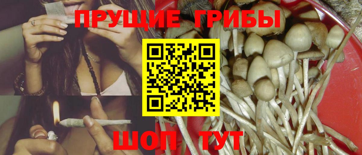 ГАШ  Бошки Шишки  Кокаин  Купить наркотики цена  Меф кристаллы  Тихорецк  Alpha-PVP СК   Гашиш  Вход с VPN  LSD-25 