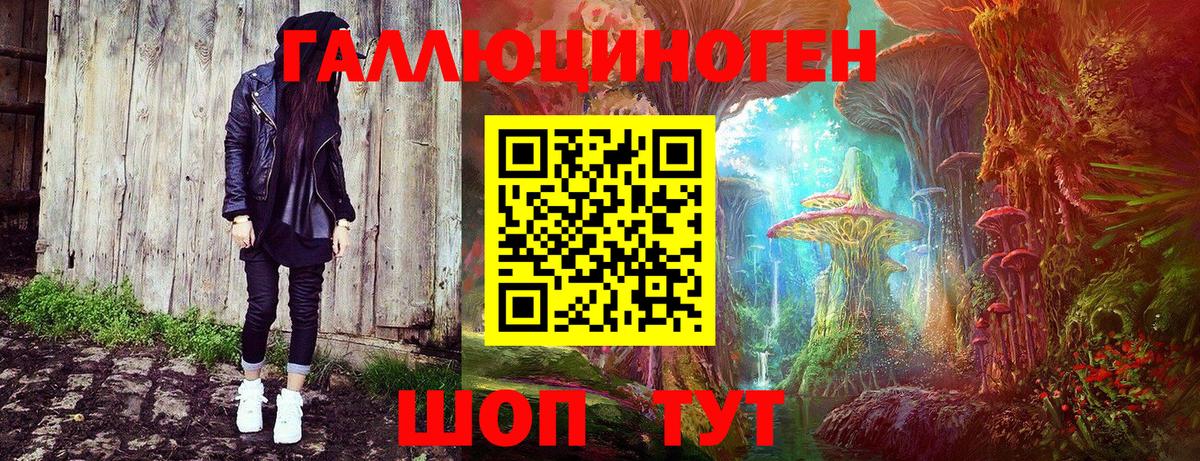 Галлюциногенные грибы MAGIC MUSHROOMS  Псилоцибиновые грибы мухоморы  Тихорецк  Вход с VPN 